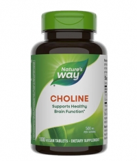 NATURES WAY Choline 500mg. / 100 Tabs.