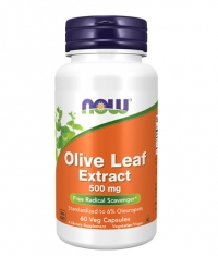 NOW Olive Leaf Extract 500mg / 60Caps.