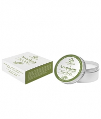 OLYMPIANS HEMP Beeswax Cream CannaBeeDiol / 50 ml