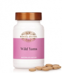 BARBEL DREXEL Wild Yam / 180 Tabs