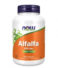 NOW Alfalfa 650 mg / 250 Tabs