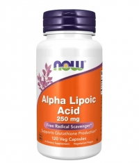 NOW Alpha Lipoic Acid 250 mg / 120 Vcaps