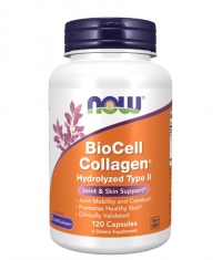 NOW BioCell Collagen / Hydrolyzed Type II 500 mg / 120 Vcaps