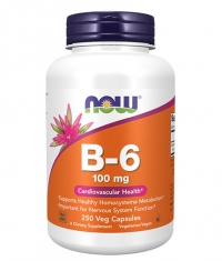 NOW Vitamin B-6 100 mg / 250 Caps