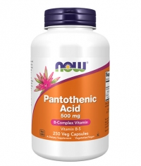 NOW Vitamin B-5 / Pantothenic Acid 500 mg / 250 Caps