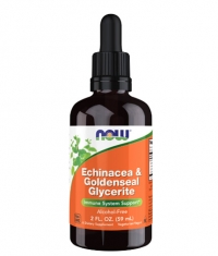 NOW Echinacea & Goldenseal Glycerite / 59 ml