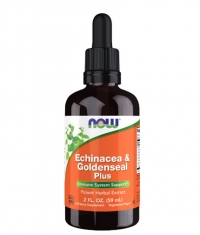 NOW Echinacea & Goldenseal Plus / 59 ml