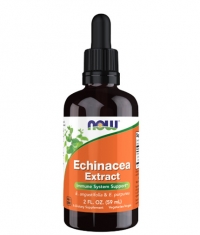 NOW Echinacea Liquid Extract / 59 ml