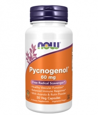 NOW Pycnogenol 60 mg / 50 Caps