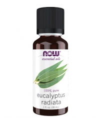 NOW 100% Pure Eucalyptus Radiata Oil / 30 ml