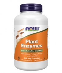 NOW Plant Enzymes / 240 Vcaps