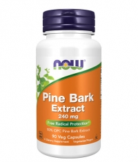 NOW Pine Bark Extract 240 mg / 90 Caps