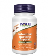 NOW Intestinal Bacteria Support / 60 Vcaps