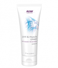 NOW Joint & Muscle Cream / 118 ml