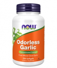 NOW Odorless Garlic / 250 Softgels