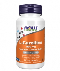 NOW L-Carnitine 250 mg / 60 Vcaps