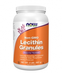 NOW Lecithin Granules Non-GMO