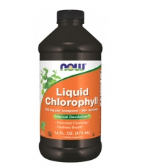 NOW Liquid Chlorophyll & Mint / 473 ml