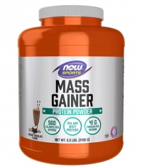 NOW Mass Gainer Powder