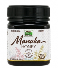 NOW Manuka Honey