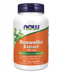 NOW Boswellia Extract 250 mg / 120 Vcaps