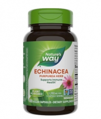 NATURES WAY Echinacea Purpurea Herb 100 Caps.